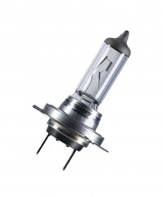 H7 12V 55W STANDAR