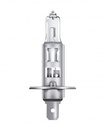H1 12V 55W STANDAR