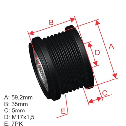 [ZM-96.005.30] Polea Rueda Libre Ford Transit 00-06 17X7 83653301 55284 Vkm03415 5638
